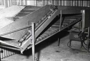 Rollen-Verleseband (Zusatzmaschine für Kalibriermaschine)