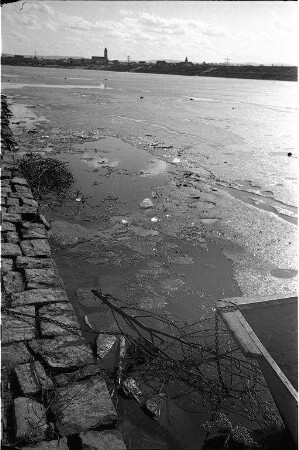 Letztes Eis am Rhein