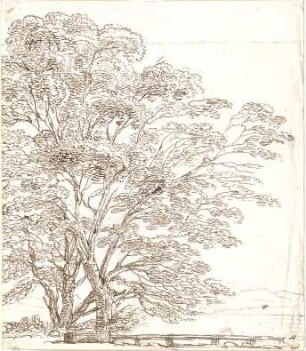 Gärtner, Friedrich von; Frühe Zeichnungen - Baum (Ansicht)