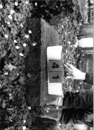Grabstein 41 (Index: 99791874) Zustand: Fragment Besonderheit: kein Formblatt vorhanden: Grabstein 41