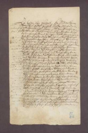 Vergleich zwischen der württembergisch-neustattischen Herrschaft als Besitzerin der gräflich-ebersteinischen Alodialgüter und der Stadt Gernsbach wegen der Kriegskontribution