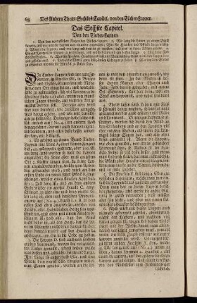 Das Sechste Capitel. Von den Tücher-Lappen