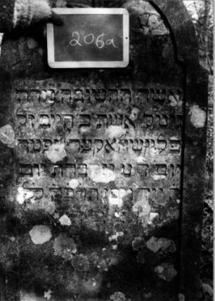 Grabstein 206 [Nir S. 125 Nr. 13.03]: Grabstein 206 (Detailaufnahme) [Nir S. 125 Nr. 13.03]