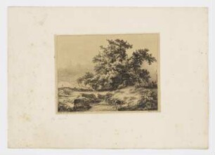 Eiche am Teich, aus: "Baum-Studien, nach der Natur radiert"