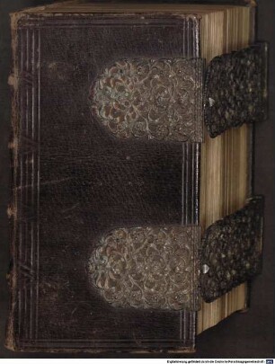 Biblia, Das ist: Die gantze Heilige Schrifft, Altes und Neues Testaments