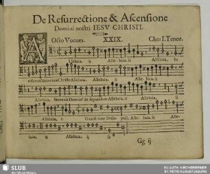 XXIX. Alleluia in resurrectione tua