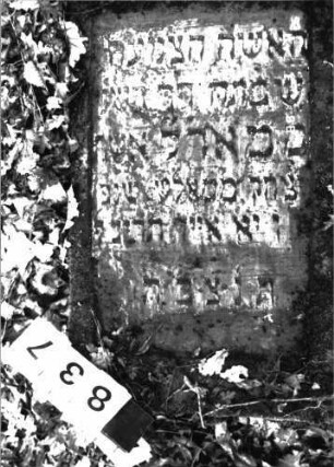Grabstein 837