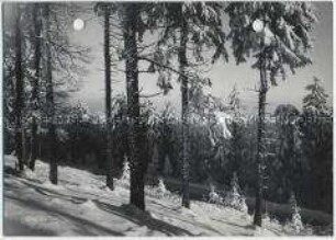 Winterlandschaft, Taunus, Feldberg