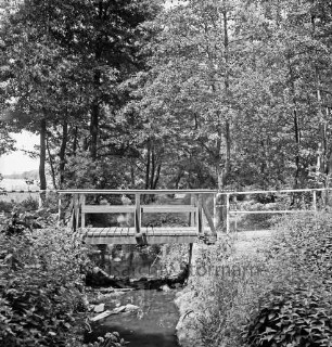 Glinder Au: hinten Holzbrücke des Wanderwegs: vorn Sträucher: dahinter Bäume
