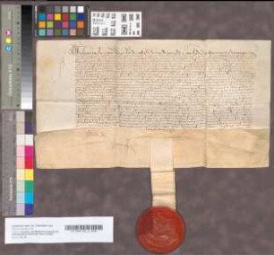 Aanstelling van Koning Filips voor zijn neef Walraven, Heer van Brederode van Vianen, tot Raad en Kamerling, 15 Januari 1504 (1505). In het Fransch. Perkament met een stuk van een uithangend zegel.