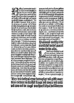 Hyr deit belyal eyne betugige vn gifft ouer dem richter in scriftē frage vn wort [...]