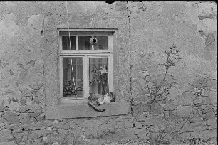 Höfgen. Akt-Pleinair 1979. Fenster eines Wohnhauses mit Katze