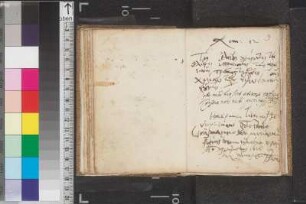 Sylvester, M.; Blatt 9