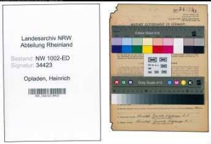 Entnazifizierung Heinrich Opladen, geb. 09.02.1897 (Studienrat)