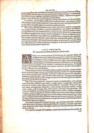 Capvt Vndecimvm, De auium alarum ossibus, musculis, & volandi modo.