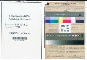 Entnazifizierung Hermann Haselier , geb. 22.12.1896 (Kaufmann)