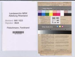 Entnazifizierung Ferdinand Fleischmann , geb. 25.08.1904 (Lehrer)