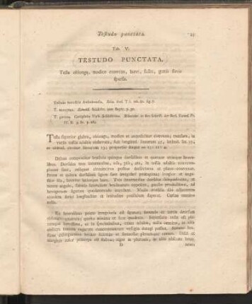 Tab. V: Testudo Punctata