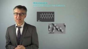 Rastersondenmikroskopie - Wie ertastet man Atome und Moleküle auf einer Oberfläche?