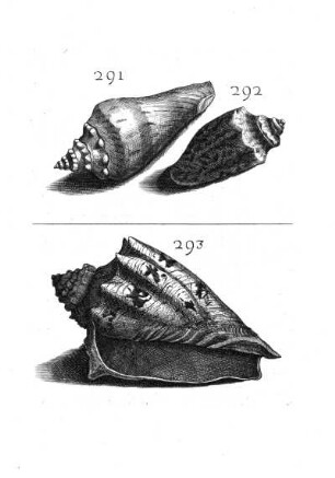 291. - 293.
