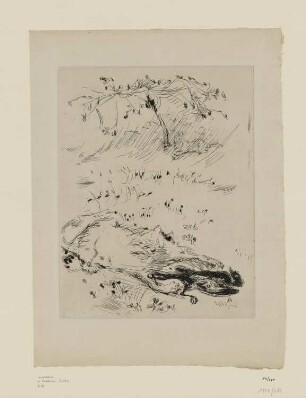 Katze und Vogel, aus: Octave Mirbeau, "Dingo", Paris 1924