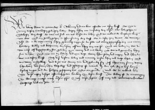 Graf Ulrich V. leiht Jörg Löser von Zwiefalten dem Kloster das Holz zu Feldhausen und ein Gütlein zu Pfronstetten zu Mannlehen.
