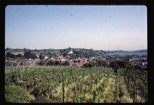 Blick auf Bahlingen