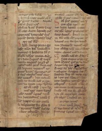 Nachweisbar: Commune virginum.