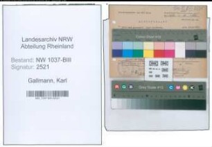 Entnazifizierung Karl Gallmann , geb. 10.09.1890 (Ingenieur)