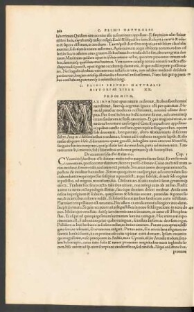 C. Plinii Secundi Naturalis Historiae Liber XX.