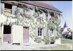 Reiselfingen: Bauernhaus mit Blumen und wildem Wein