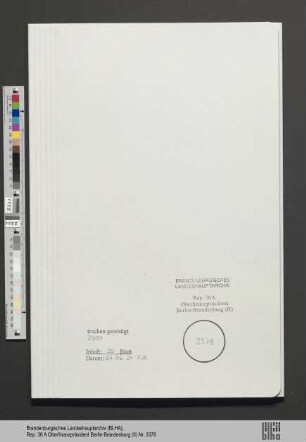 Bernfeld, Susanne