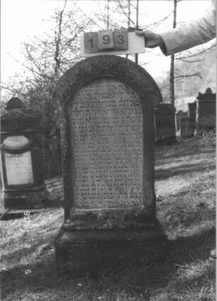 Grabstein 193 (Index: 99608878) Material: Sandstein Zustand: leicht verwittert Maße HxBxT: 125x60x23 cm Beschreibung: Stele, profilierter Sockel, Rundbogenabschluß mit Rundbogenfries, Schriftfeld eingetieft mit Rundbogenabschluß Besonderheit: kulturhistorisch wertvoll / hist.-wiss. Gründe (Rabbinersgattin): Grabstein 193