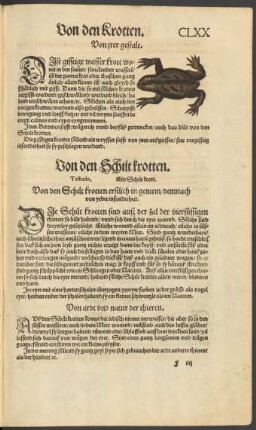 Von den Schilt krotten. Testudo. Ein Schilt krott.