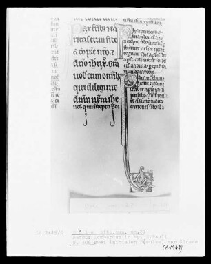 Petrus Lombardus, Commentarius in epistolas Sanct Pauli: Initialen P