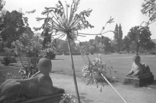 Botanischer Garten. Spätsommertag