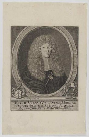 Bildnis des Henricus Volgland