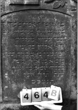Grabstein 464 (Index: 99752847) Material: Sandstein Zustand: gut Maße HxBxT: 145x74x13 cm Beschreibung: konkav eingezog. Segmentbogenabschl. , Schriftfeld eingetieft m. Segmentbogenabschl. Symbolik: Schofar, aufgeschlagenes Buch, Pinienzapfen, Blätter, Rautenfries: Grabstein 464B