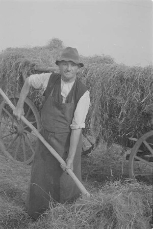 Landwirt bei der Ernte. : Ratar při žnjach