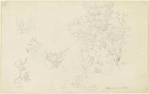 Tiere mit Ranken; eine Fledermaus; ein kleiner und ein größerer Landschaftsausschnitt mit zwei Vögeln an einem Baum