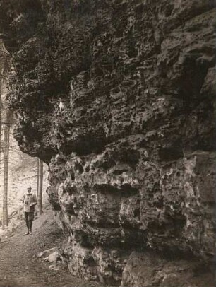 Elbsandsteingebirge. Goldsteig südwestlich vom Zeughaus. Wabenstruktur