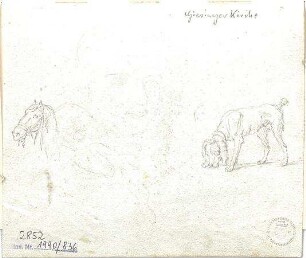 Gärtner, Friedrich von; Reisezeichnungen - Hund u. Pferd (Studie)