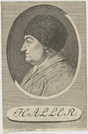 Bildnis des Albrecht von Haller