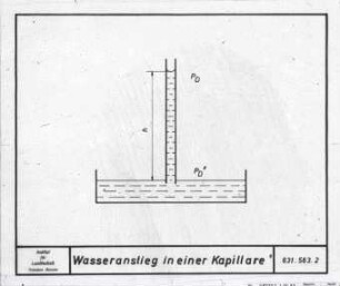 Wasseranstieg in einer Kapillare