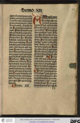 Sermo XII.