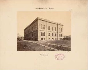 Rheinische Friedrich-Wilhelms-Universität Bonn Anatomisches Institut: Seitenansicht