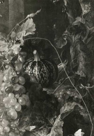Stilleben mit Vogelnest : Heem, Jan Davidsz de. Stilleben mit Vogelnest. Öl auf Leinwand; 89 x 72 cm. 17. Jh.. Detail: Früchte und Insekten. Dresden Gemäldegalerie Alte Meister 1261