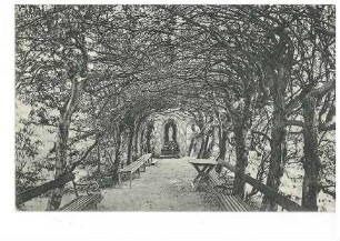 Allee beim Kloster Liebenthal