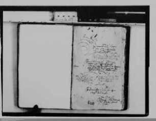 . Haltung von Grafentagen: Friedberg