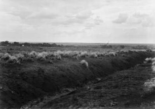 Bachbett : Das Bett eines kleinen Baches in einer Graslandschaft.